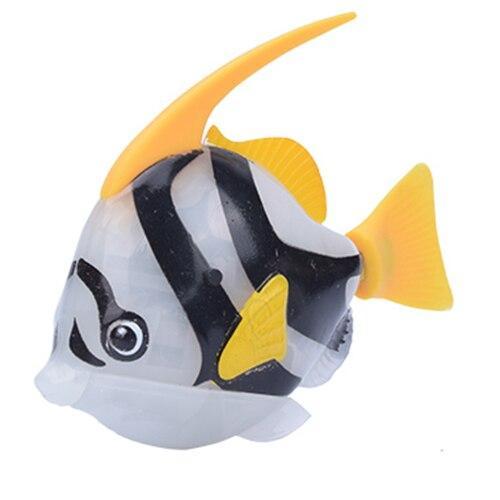 Angelfish Grey